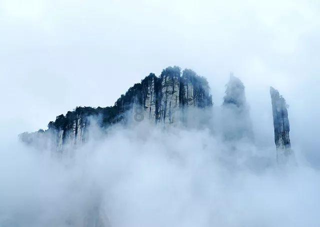 诱捕小浣熊